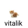 vitalyti239282