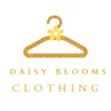 Daisy Blooms Collections