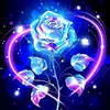 mohammedsajeer26