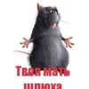 xyezubi_drist