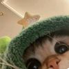 laila__673