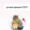 stalnayaledi_1