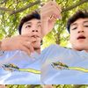 dayy2032