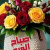 wildmariam