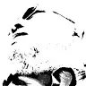 detlevlachmann1