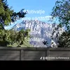 videomotivationale