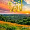 xamse653