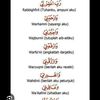 jannah.rf