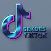 sekdes_tiktok29