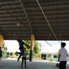 joshuamercado902