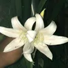 mari_sill00