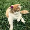 sami_imran_9