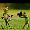 love_bird_131090