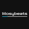 wosybeats5667