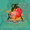 gradakanflowerhorn