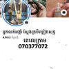 sophy1682023