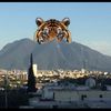 juan011699