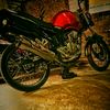 rizot_stero225