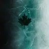 pufer_ss
