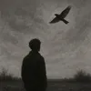 abood...9