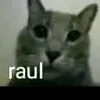 raul896540