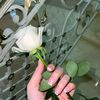 nour_5t