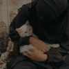 zu_zii29
