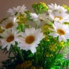 liudmila.brighidin