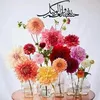 sohailkhalid87