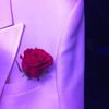 ghadaalfaris