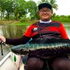 kosahfishing