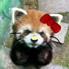 rdpndaxx