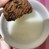skiewcookiees