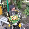 inihaani