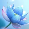 satna0.013