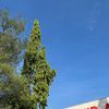 ajourney31