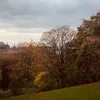 24adam_w