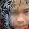 harimau_160