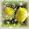 cristinanegoita6