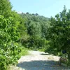 monturque1