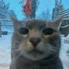 viktorthejm