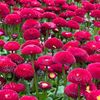 soso_99099