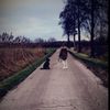 elsie_2006