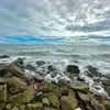 tranduy027
