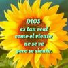 floricastillero