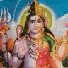 sabithasukdeo