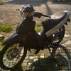 danial.alii