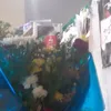eliespinozaa123