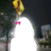 blink_155xx