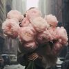 nora_365_